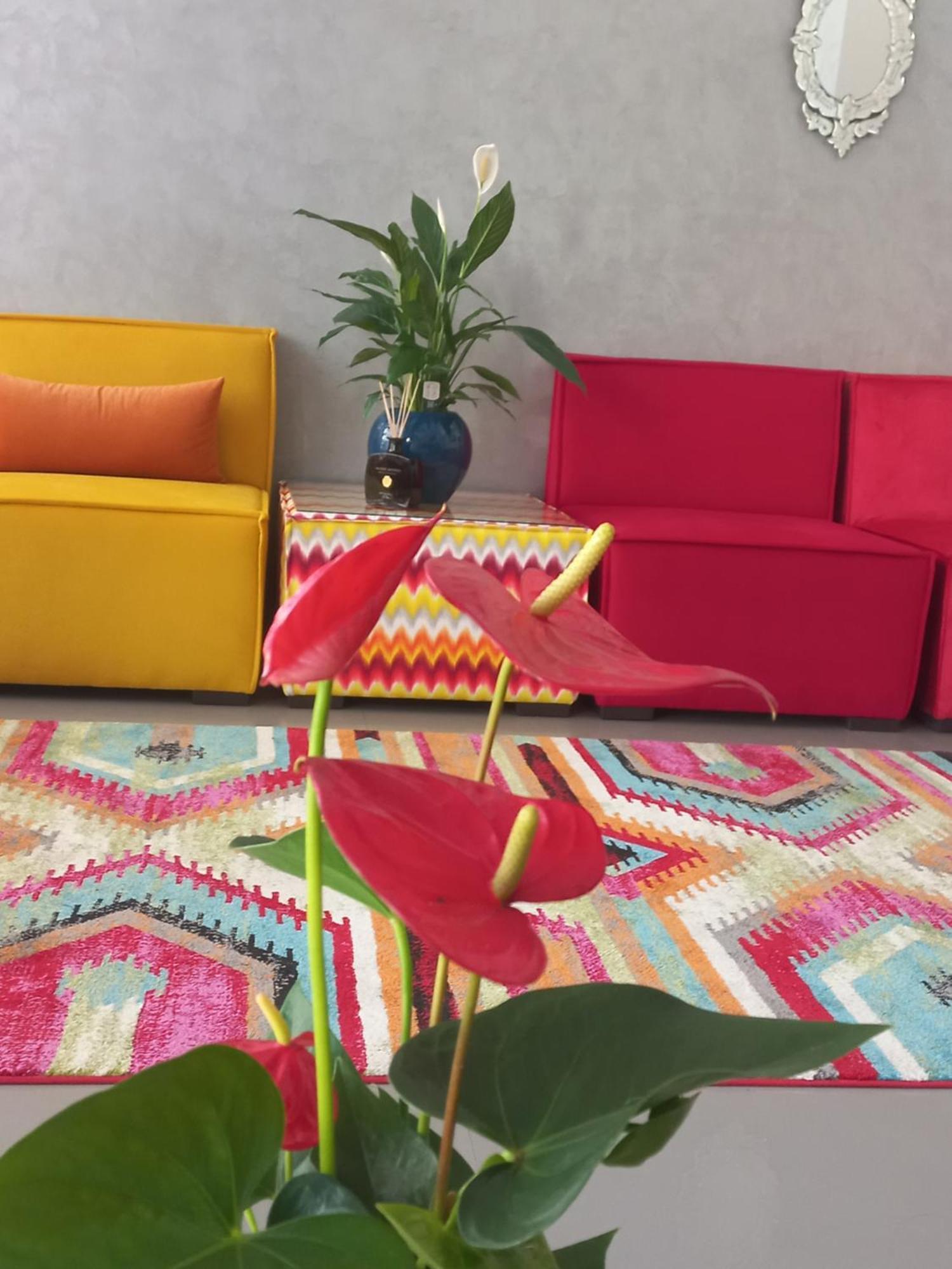 מקנס Hotel Swani מראה חיצוני תמונה